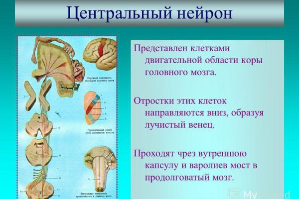 Кракен сайт сегодня