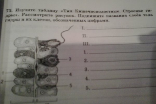 Официальный сайт даркнета
