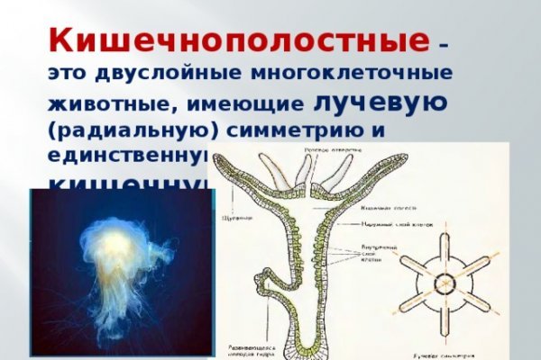 Кракен ссылка 2025
